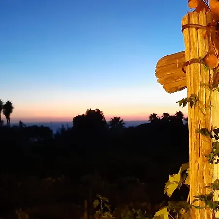 Il Vitigno Di Dioniso Szálloda