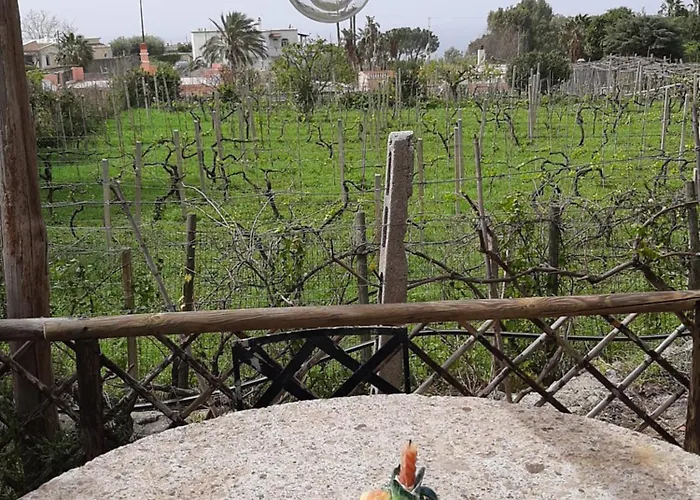 Il Vitigno Di Dioniso Forio di Ischia