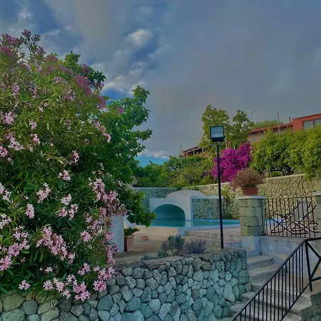 Il Vitigno Di Dioniso