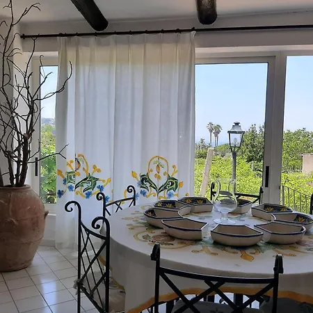 Il Vitigno Di Dioniso