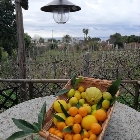 Il Vitigno Di Dioniso Forio di Ischia