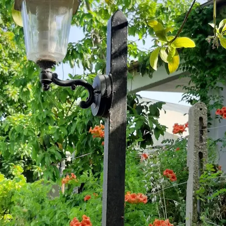 Il Vitigno Di Dioniso 3* Forio di Ischia