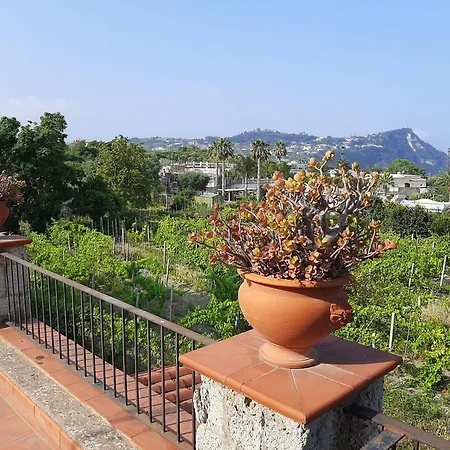 Hotel Il Vitigno Di Dioniso 3*