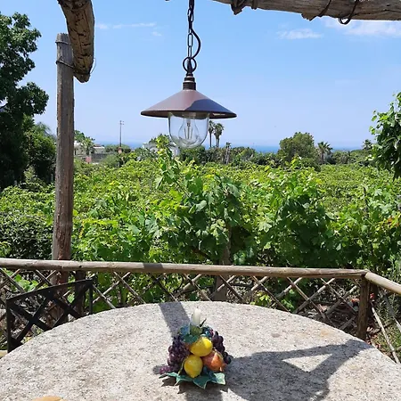 Il Vitigno Di Dioniso 3*