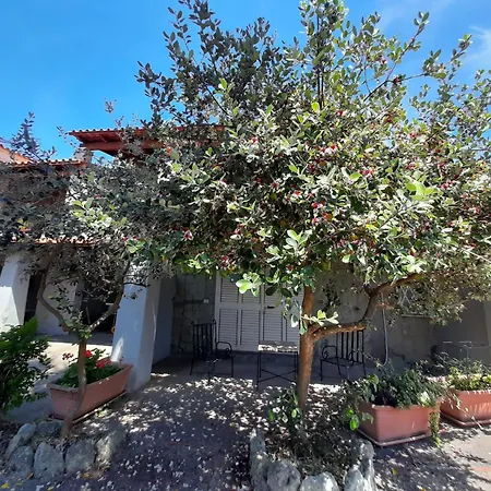 Il Vitigno Di Dioniso Hotel 3*