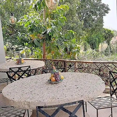 Il Vitigno Di Dioniso Forio di Ischia