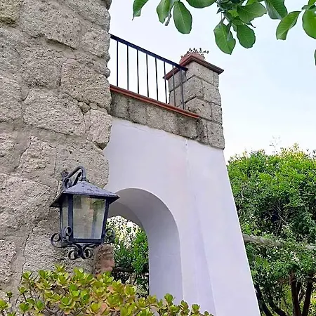 Il Vitigno Di Dioniso Forio di Ischia