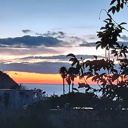 Il Vitigno Di Dioniso 3*