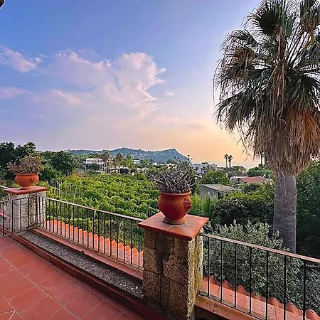 Il Vitigno Di Dioniso 3* Forio di Ischia