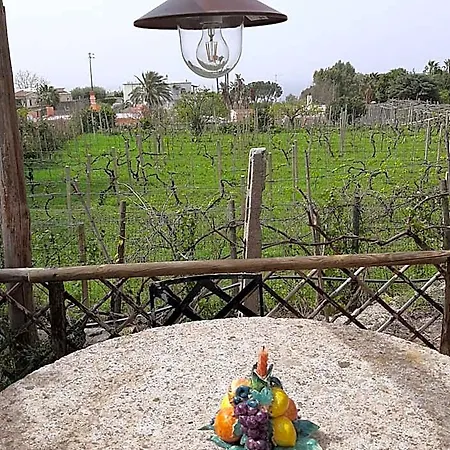 Il Vitigno Di Dioniso 酒店 3*
