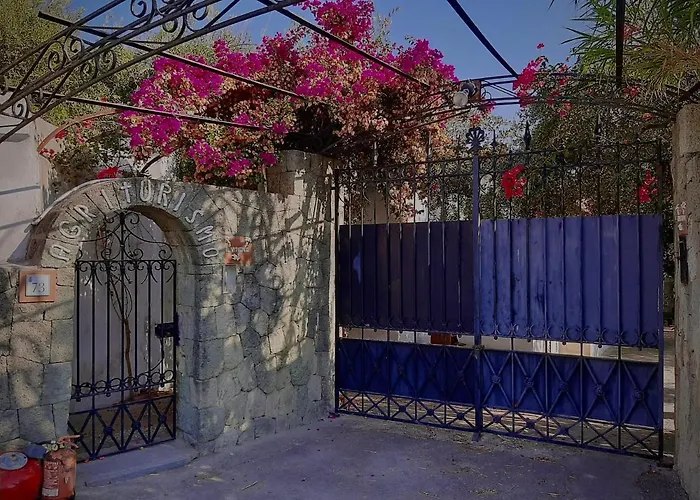 Il Vitigno Di Dioniso Форио