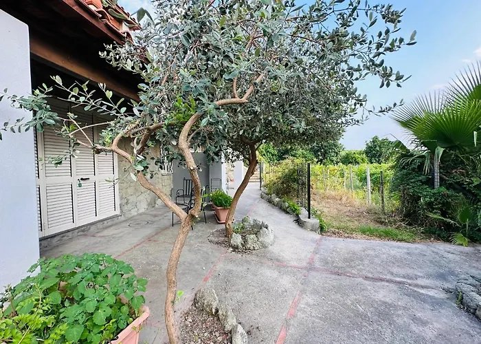 Il Vitigno Di Dioniso Форио