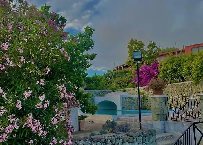 Il Vitigno Di Dioniso