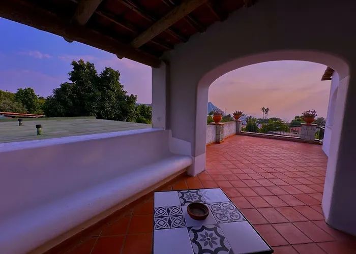 Il Vitigno Di Dioniso