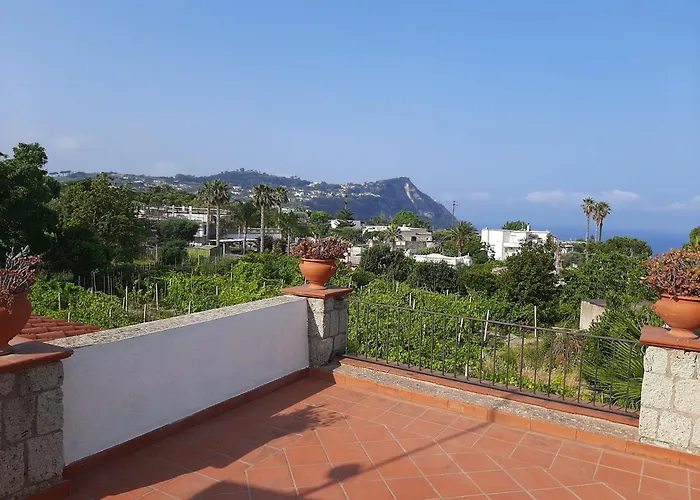 Отель Il Vitigno Di Dioniso 3*