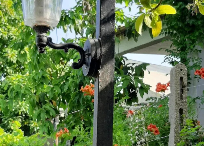 Il Vitigno Di Dioniso 3* Форио