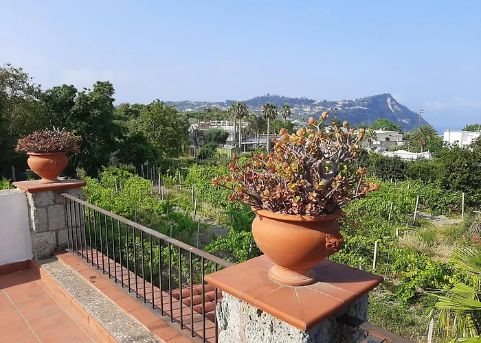 Отель Il Vitigno Di Dioniso 3*