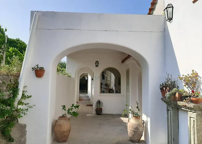 Il Vitigno Di Dioniso Отель Форио