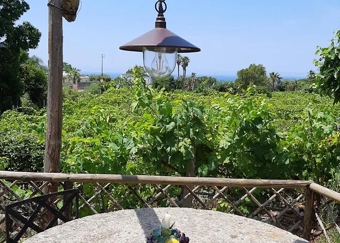 Il Vitigno Di Dioniso 3*