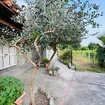 Il Vitigno Di Dioniso Forio di Ischia