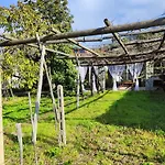 Il Vitigno Di Dioniso 3* Forio di Ischia