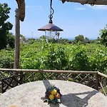 Il Vitigno Di Dioniso 3*