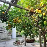 فندق Il Vitigno Di Dioniso 3*