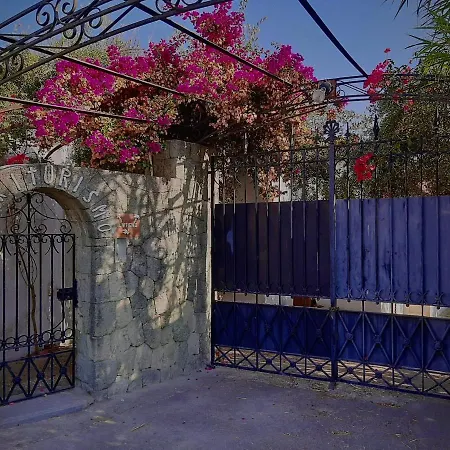 Il Vitigno Di Dioniso Forio di Ischia