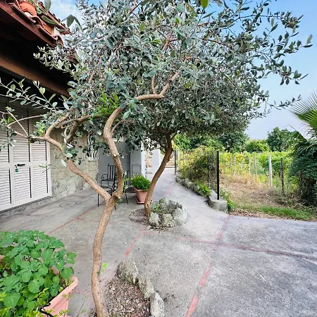 Il Vitigno Di Dioniso Forio di Ischia