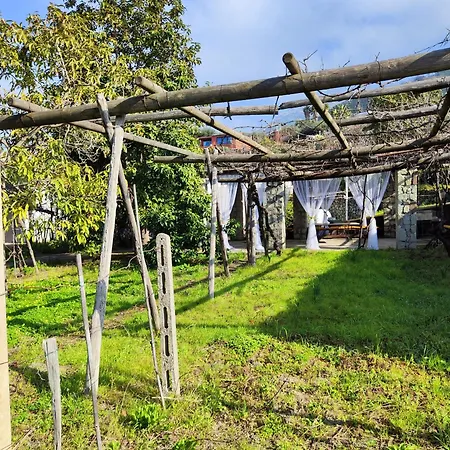 Il Vitigno Di Dioniso 3* Forio di Ischia