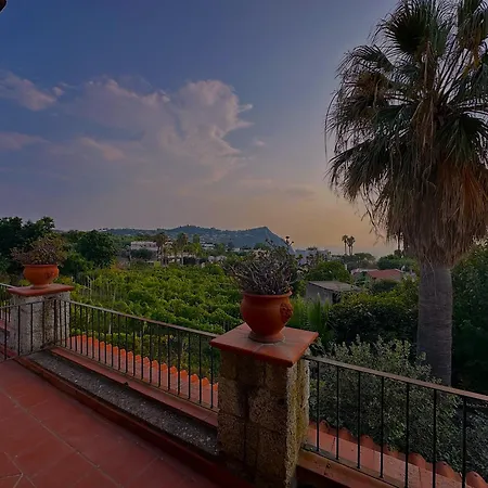 Il Vitigno Di Dioniso Hotel