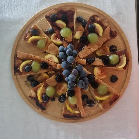 Il Vitigno Di Dioniso