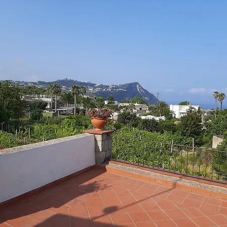 Hotel Il Vitigno Di Dioniso 3*