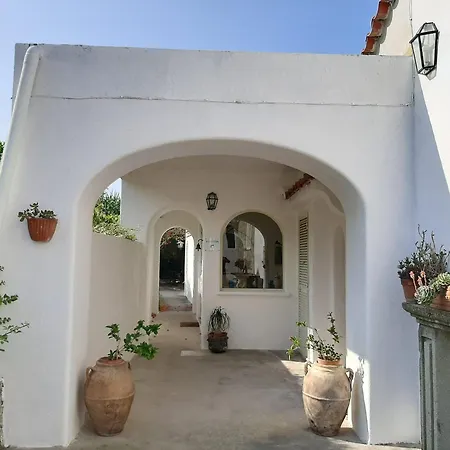 Il Vitigno Di Dioniso Hotel Forio di Ischia