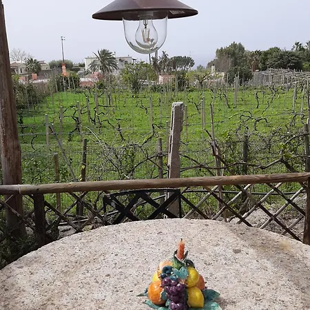 Il Vitigno Di Dioniso Forio di Ischia