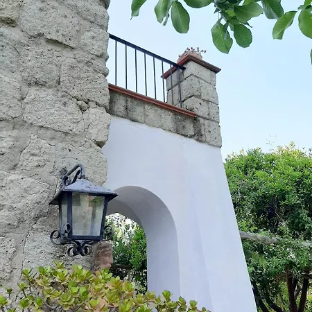 Il Vitigno Di Dioniso Hotel