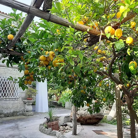 Hotel Il Vitigno Di Dioniso 3*