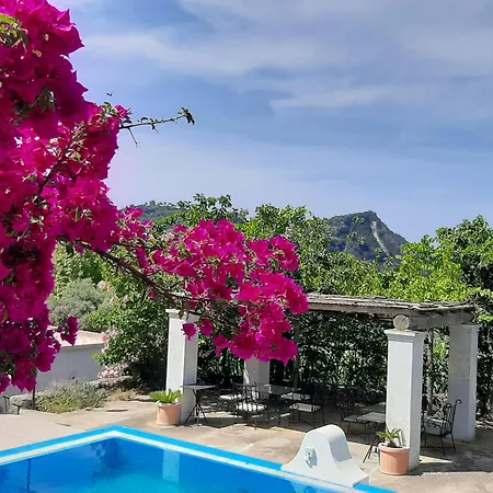 Il Vitigno Di Dioniso Hotel